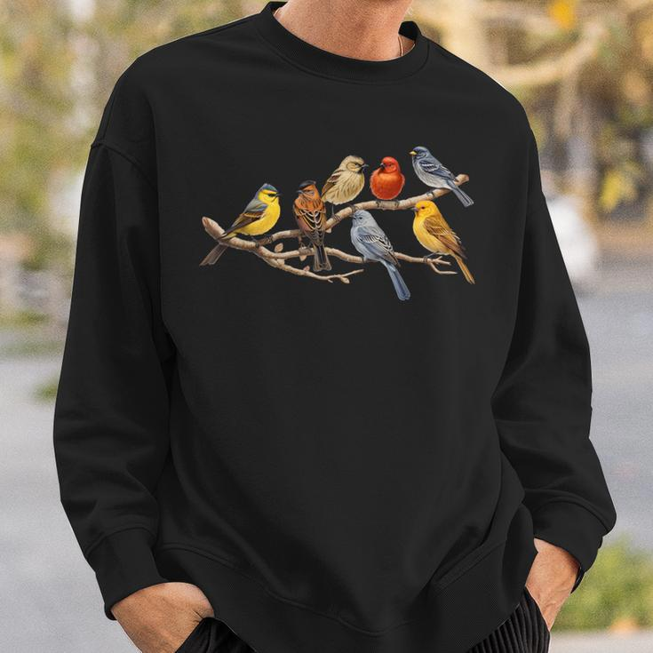 Backyard Bird Watching Watcher Birder Birds On A Branch Sweatshirt Gifts for Him