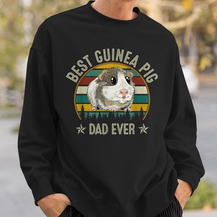 Best Guinea Pig Dad Ever Lustiges Meerschweinchen Papaater Sweatshirt Geschenke für Ihn