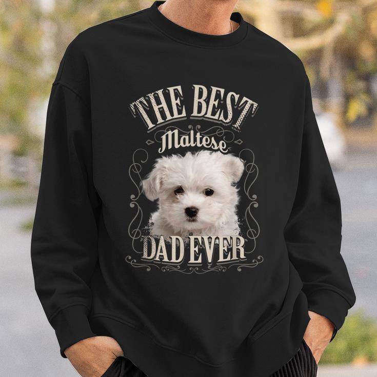 Best Maltese Dad All Maltese Dog intage Sweatshirt Geschenke für Ihn