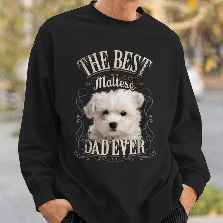 Best Maltese Dad All Maltese Dog Vintage Sweatshirt Gifts for Him