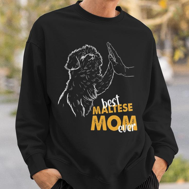 Best Maltese Mom Ever Maltese Dog Lover Maltese Mom Sweatshirt Gifts for Him