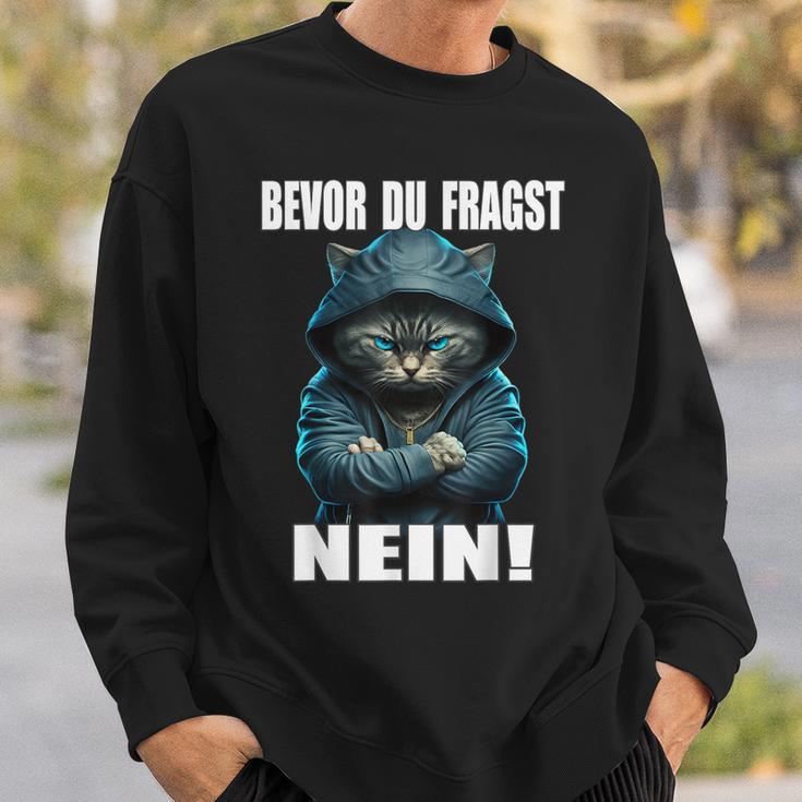 Bevor Du Fragst Nein Provokante Ironie Cat Sweatshirt Geschenke für Ihn