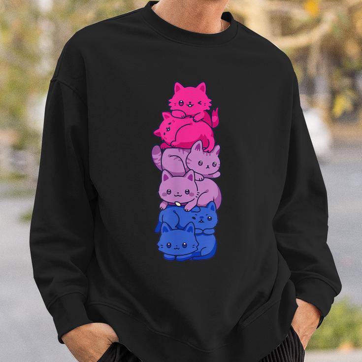 Bi Pride Cat Lgbt Bisexual Flag Cute Kawaii Cat Sweatshirt Geschenke für Ihn