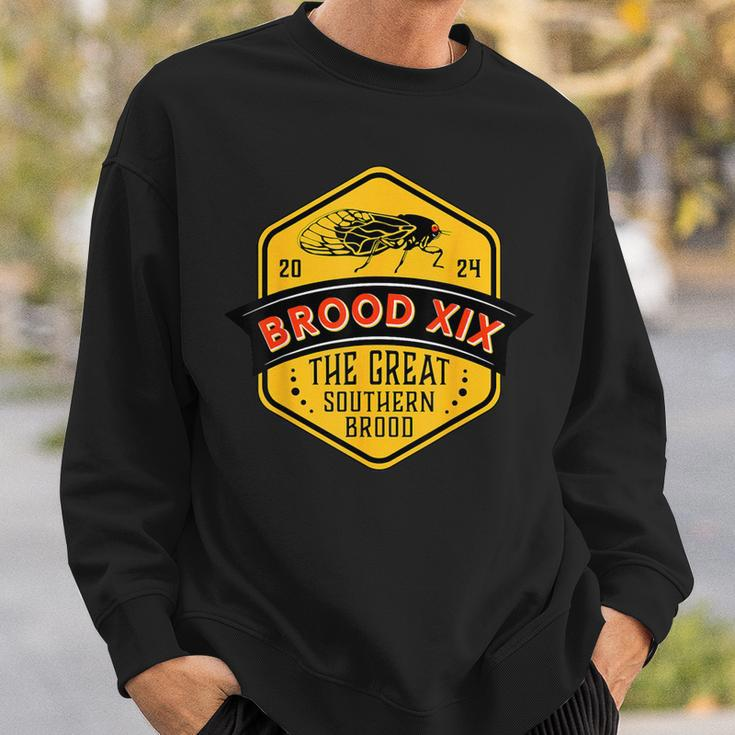 Cicadas Brood Xix The Great Southern Brood Sweatshirt Gifts for Him