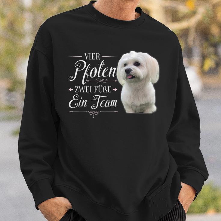 Cute Maltese Dog Graphic Sweatshirt Geschenke für Ihn