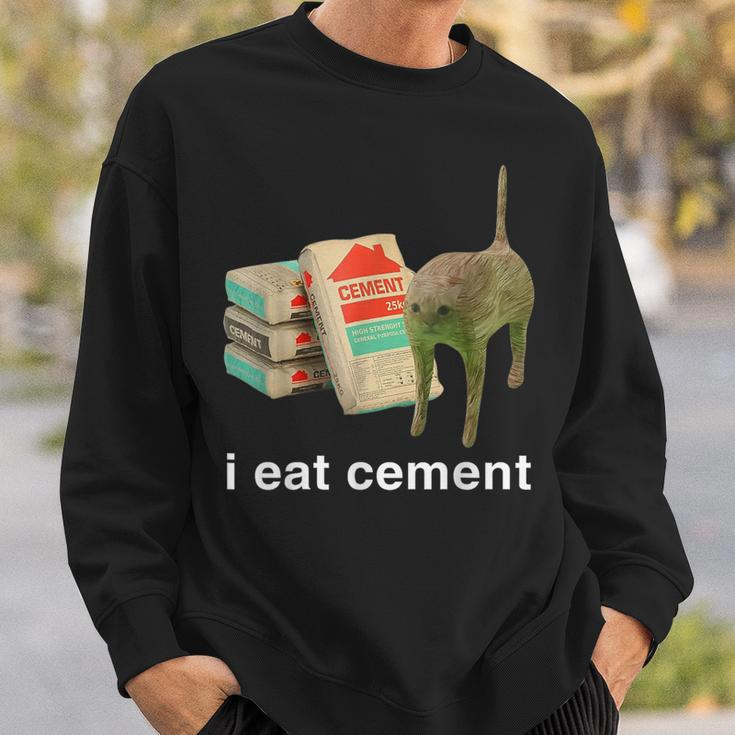 I Eat Cement Cursed Cat Meme Cat Lover I Eat Cement Sweatshirt Gifts for Him