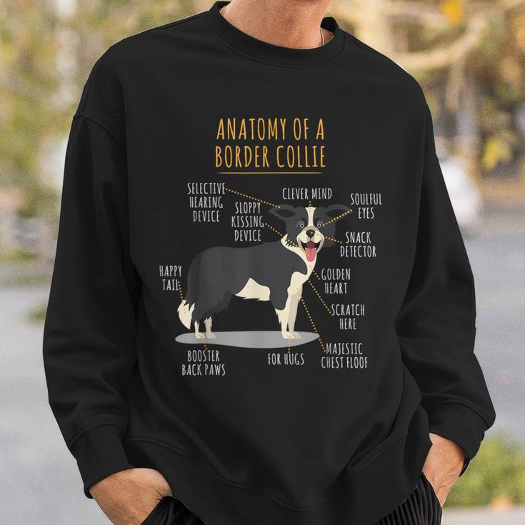 Anatomy Of A Border Collie Intelligent Dog Breed Sweatshirt Gifts for Him
