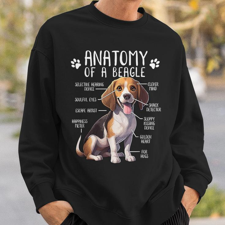 Beagle Anatomy Of A Beagle Dog Owner Cute Pet Lover Sweatshirt Gifts for Him