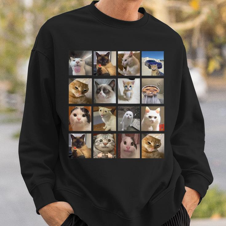 Cat Memes Kitty Cat Meme Sweatshirt Gifts for Him