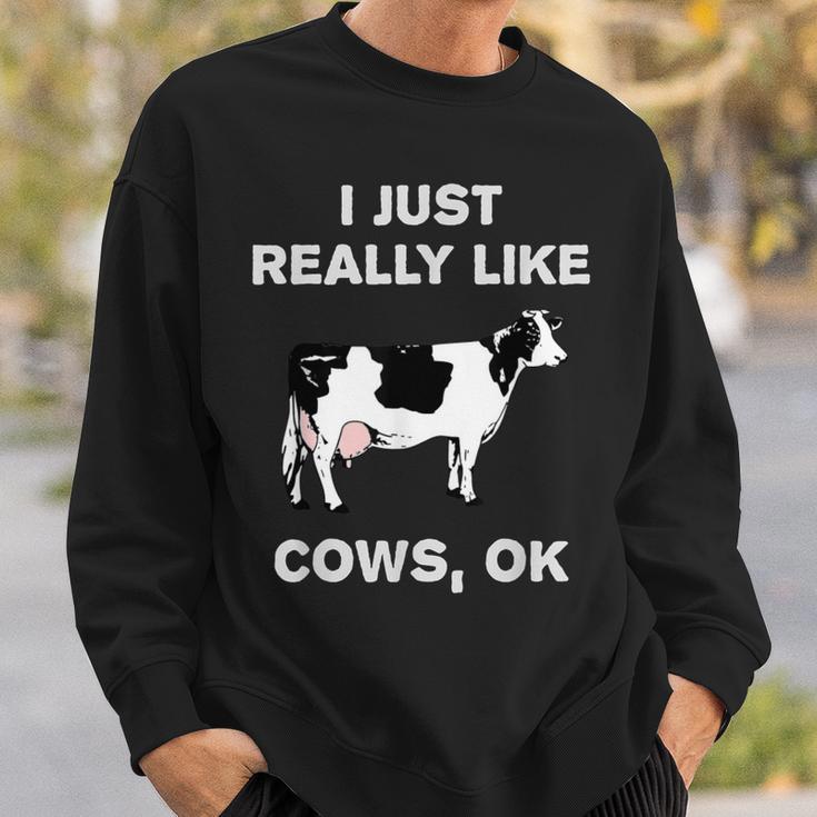 Cow Dairy Farm Humor I Just Really Like Cows Ok Sweatshirt Gifts for Him