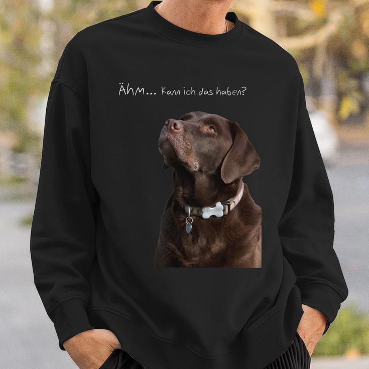 Labrador Retriever Dog Sweatshirt Geschenke für Ihn