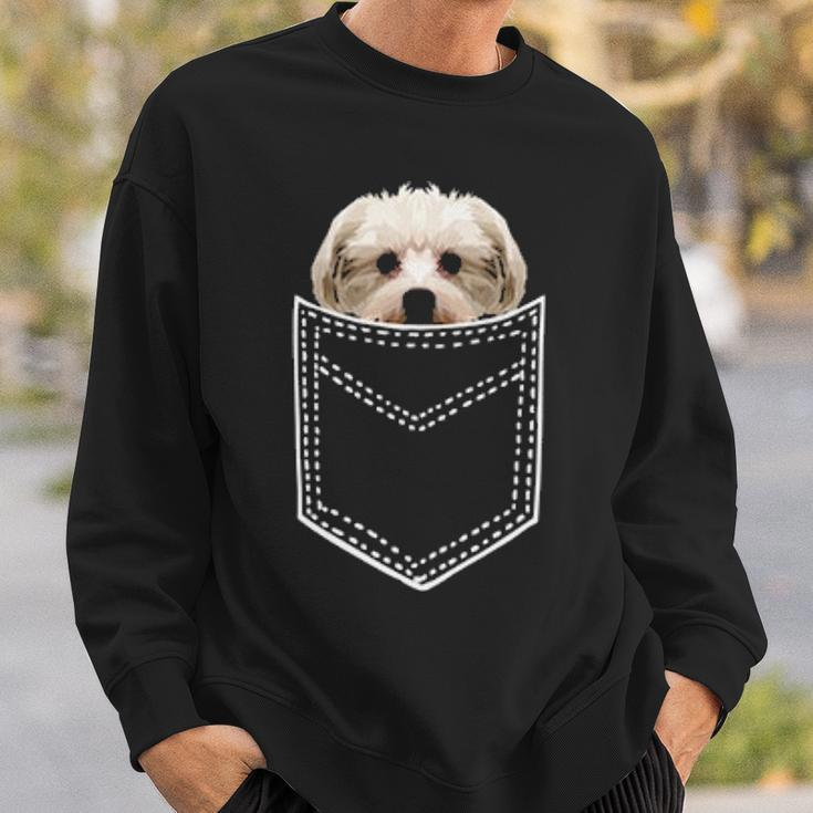 Maltese Apparel Cute Pocket Maltese Puppy Dog Sweatshirt Gifts for Him