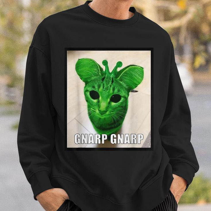 Gnarp Cat Silly Alien Cat Meme Sweatshirt Gifts for Him
