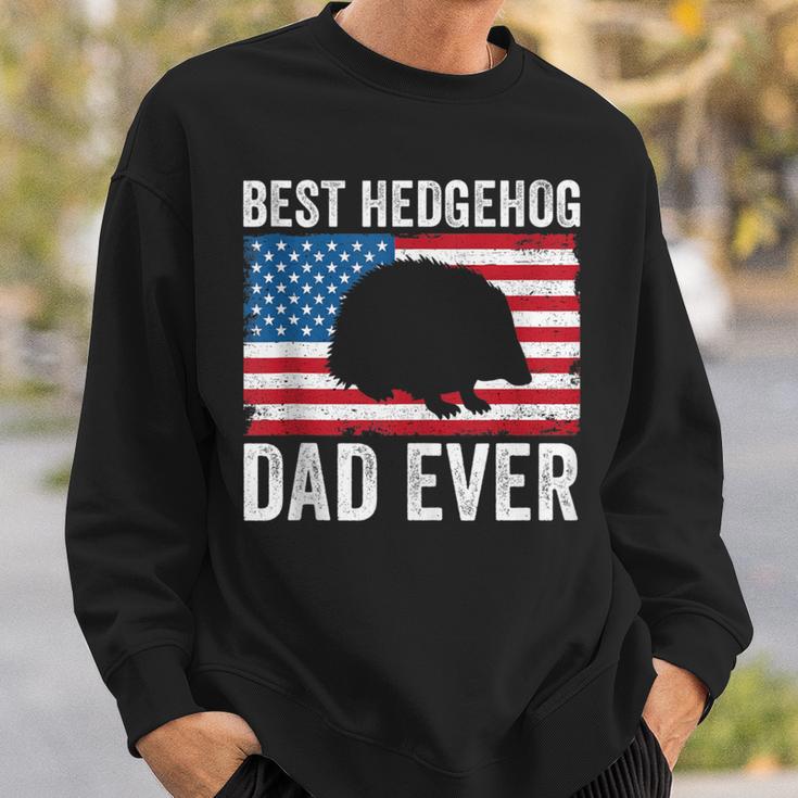 Hedgehog Dad American Flag Hedgehog Lovers Owners Men Sweatshirt Gifts for Him