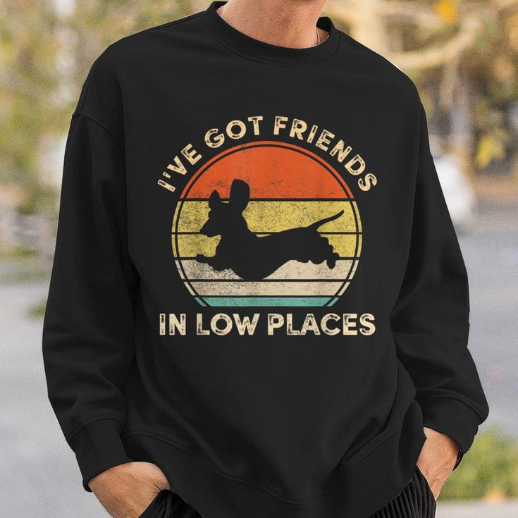 I've Got Friends In Low Places Dachshund Wiener Dog Sweatshirt Gifts for Him
