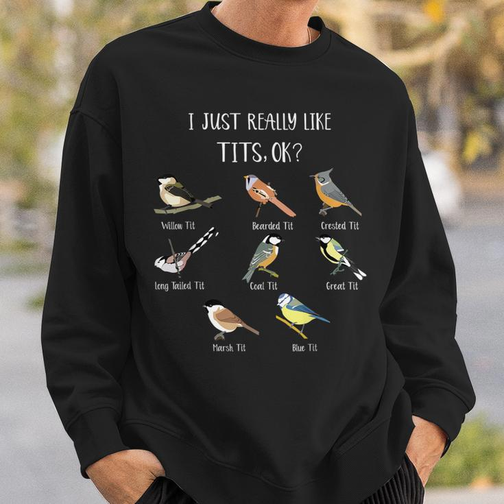 I Just Really Like Tit Birds Bird Pun Bird Watching Sweatshirt Gifts for Him