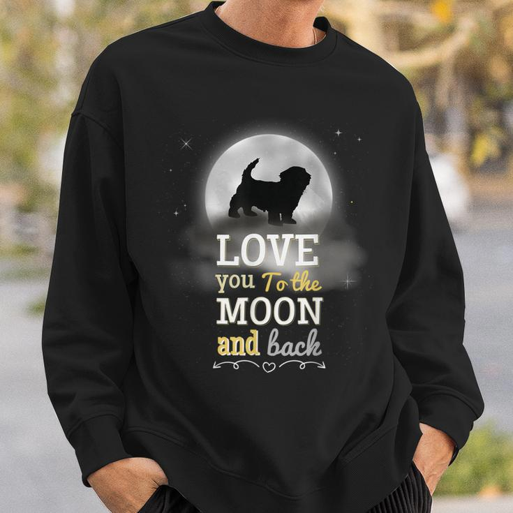 Katzenliebhaber Mond Sweatshirt Love You to The Moon and Back Geschenke für Ihn