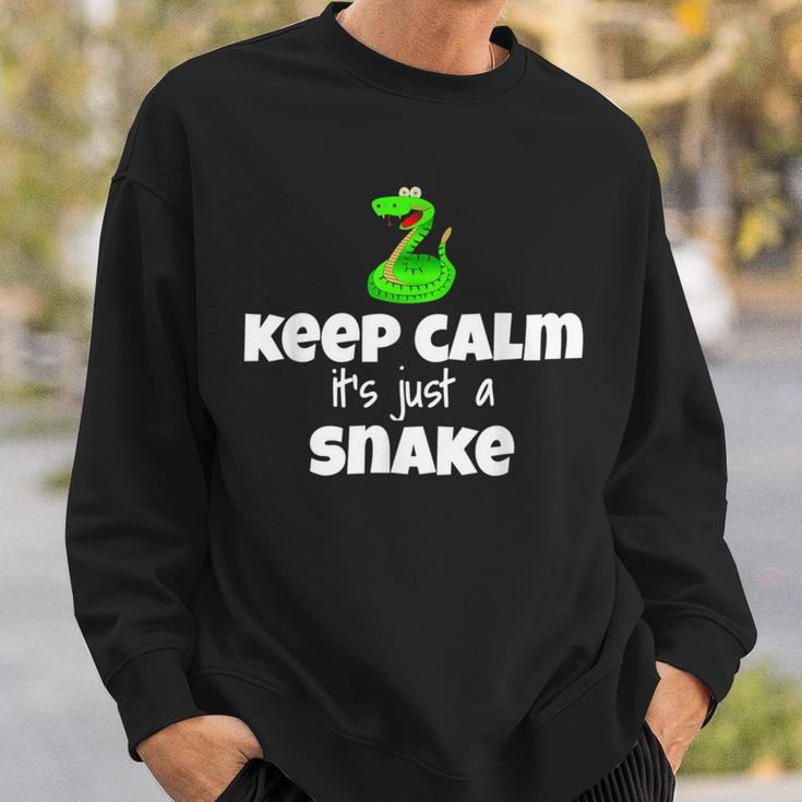 Keep Calm It's Just A Snake Herpetologist Costume Sweatshirt Gifts for Him
