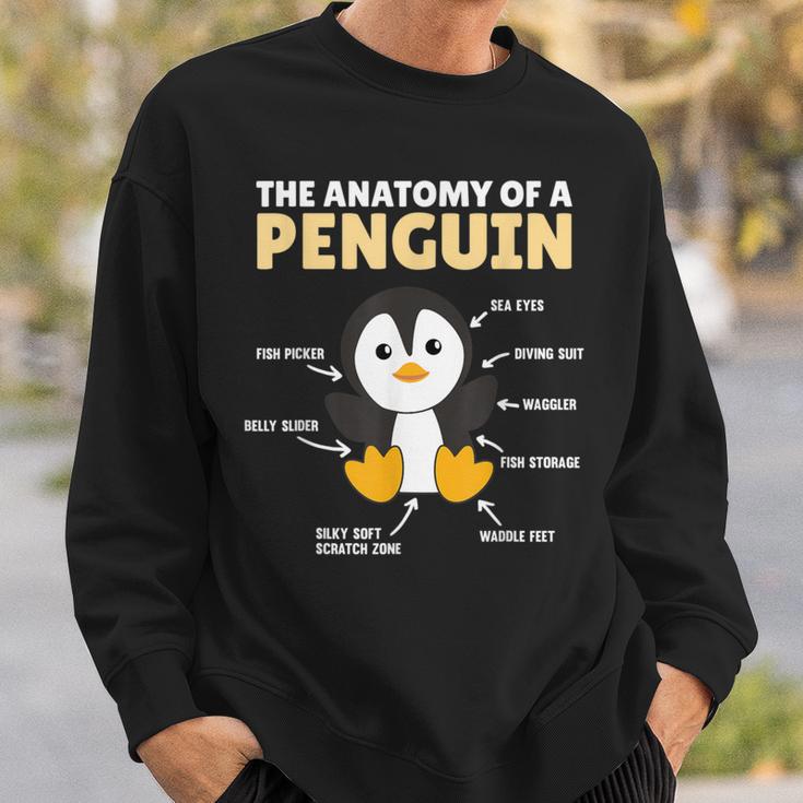 Lustige Erklärung Eines Pinguins Anatomie Eines Pinguins Sweatshirt Geschenke für Ihn