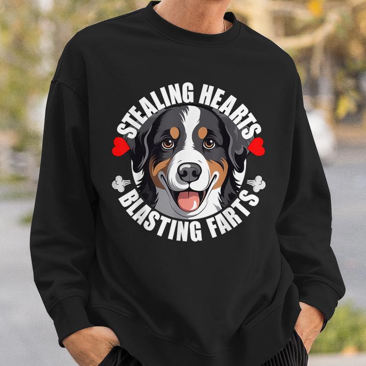 Lustiger Appenzeller Sennenhund Herzen Stehlen Sprengfurze Sweatshirt Geschenke für Ihn