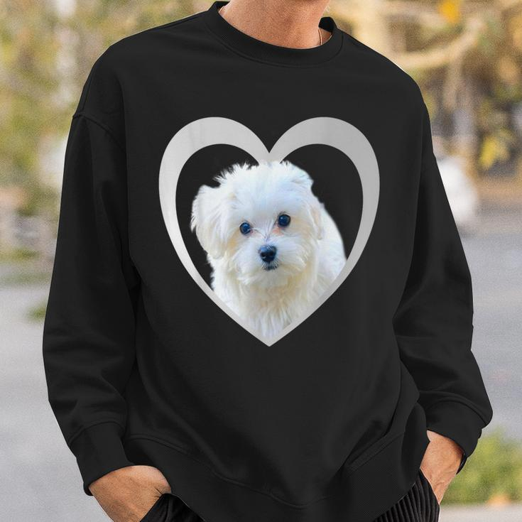 Maltese Maltese Dog Maltese Sweatshirt Geschenke für Ihn
