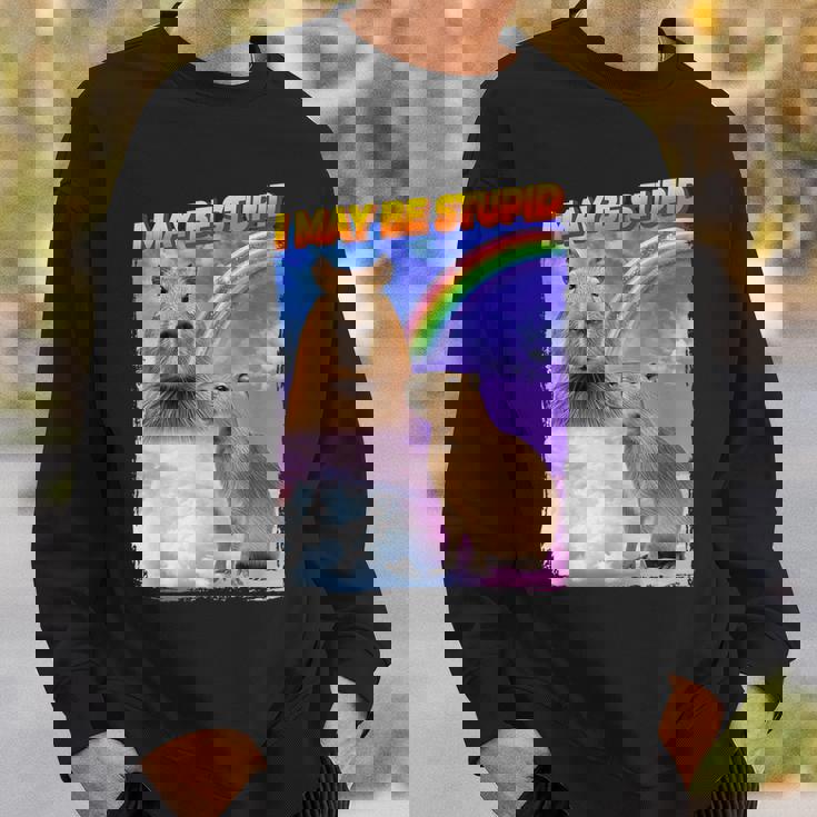 I May Be Stupid Internet Meme Sweatshirt Gifts for Him