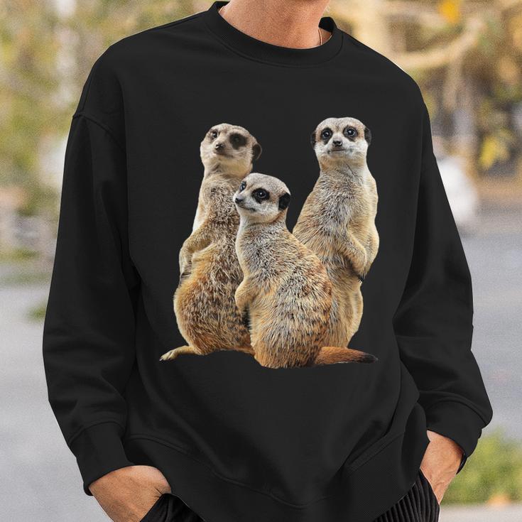 Meerkat On Safari In Africa Sweatshirt Geschenke für Ihn