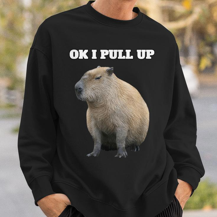 Ok Ich Ziehhe Capybara Hoch Sweatshirt Geschenke für Ihn