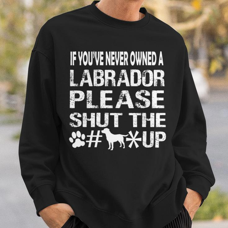 If You Have Never Owned A Labrador Please Shut The Up Sweatshirt Gifts for Him