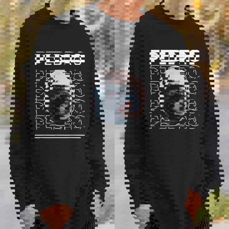 Pedro Raccoon Dancing Meme Sweatshirt Gifts for Him