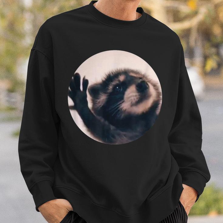 Pedro Racoon Dance Popular Internet Meme Mapache Dance Sweatshirt Gifts for Him