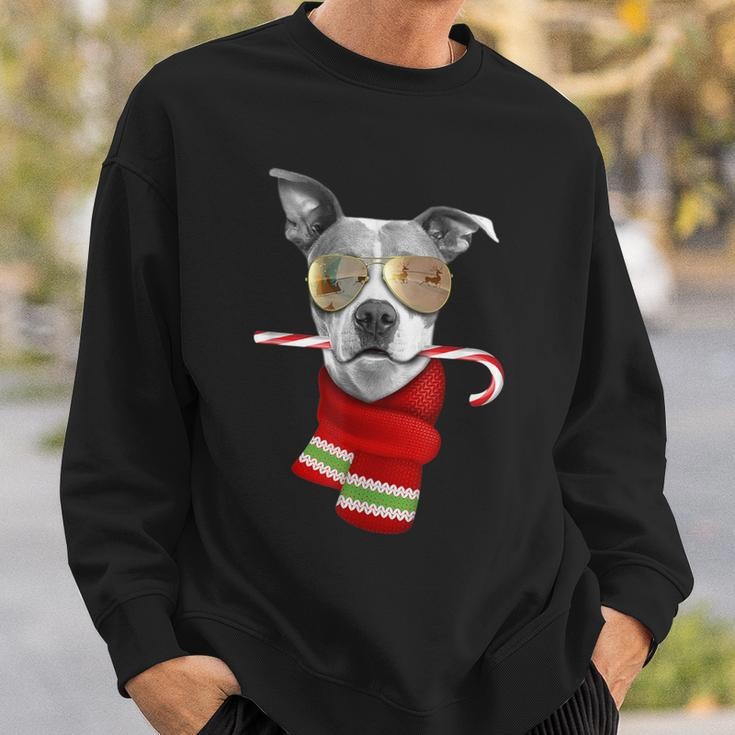 Pitt Bull Cute Christmas Dog Lovers Sunglasses Sweatshirt Gifts for Him