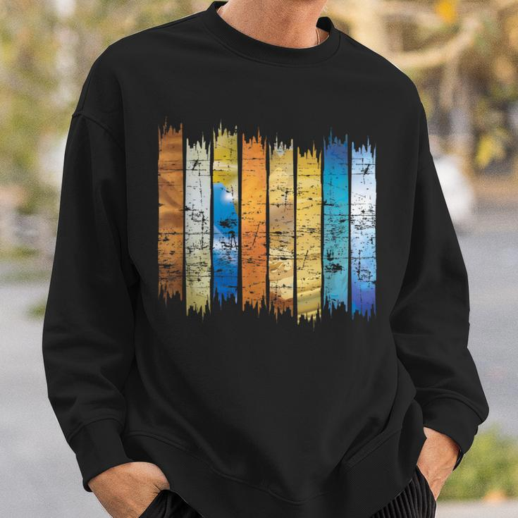 Planet Astronomy Retro Astronomy Sweatshirt Geschenke für Ihn