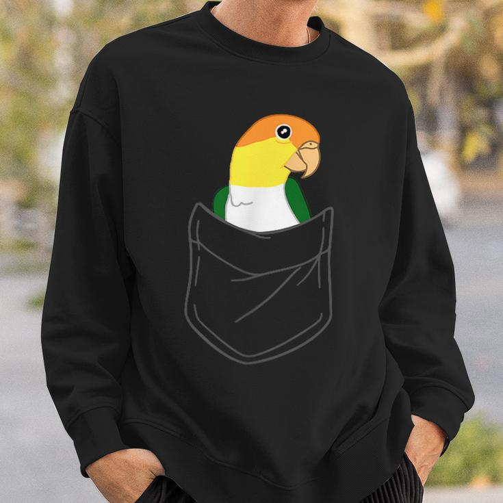 Pocket White Bellied Caique Cute Parrot Birb Memes Sweatshirt Gifts for Him
