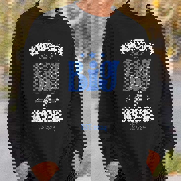 Promoted To Big Brother Est 2024 For Pregnancy Or New Baby Sweatshirt Gifts for Him