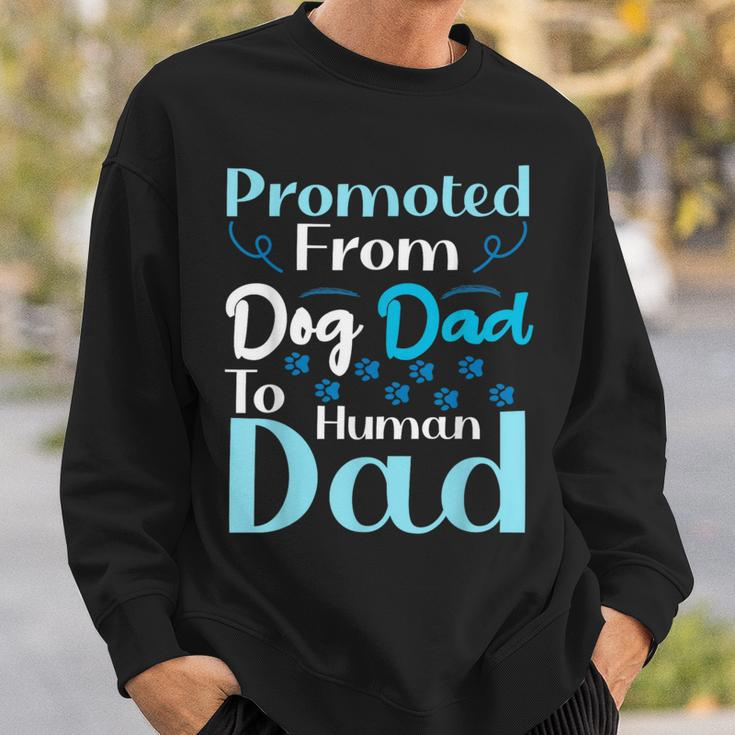 Promoted From Dog Dad To Human Dad Father's Day Sweatshirt Gifts for Him