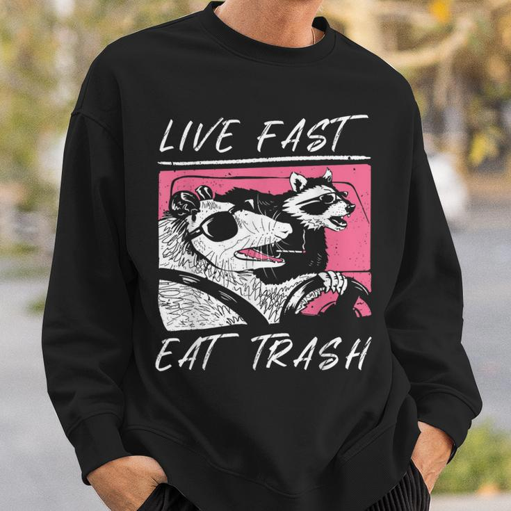 Raccoon And Possum Live Fast Eat Trash Enjoy Life Adventure Sweatshirt Gifts for Him