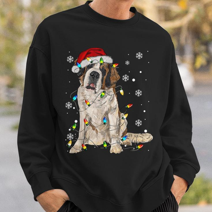 Saint Bernard Dog Santa Christmas Tree Lights Pajama Xmas Sweatshirt Gifts for Him