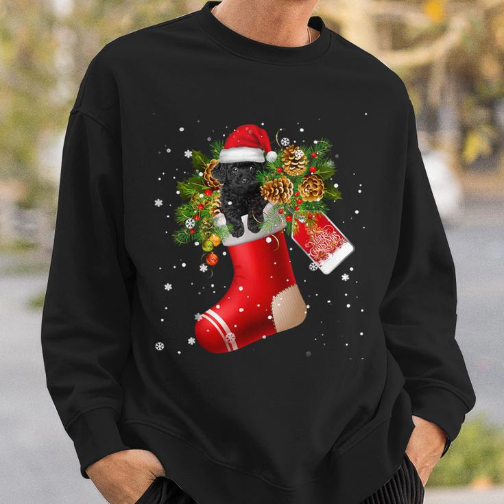 Santa Black Toy Poodle In Christmas Sock Pajama Sweatshirt Gifts for Him