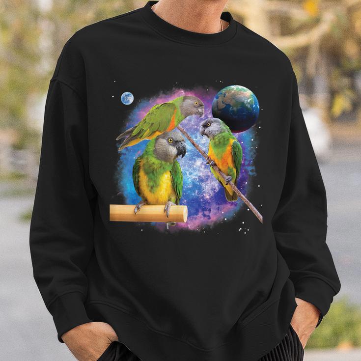 Senegal Parrots In Space Senegal Parrot Sweatshirt Gifts for Him