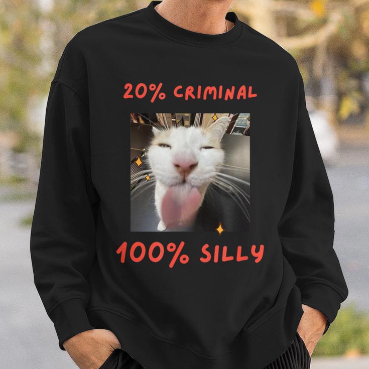 That Silly Cat Meme For The Internet Age Generation Sweatshirt Gifts for Him