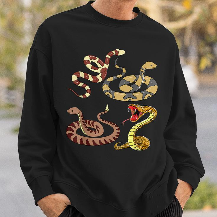 Snakes Reptile Science Biology Sweatshirt Gifts for Him