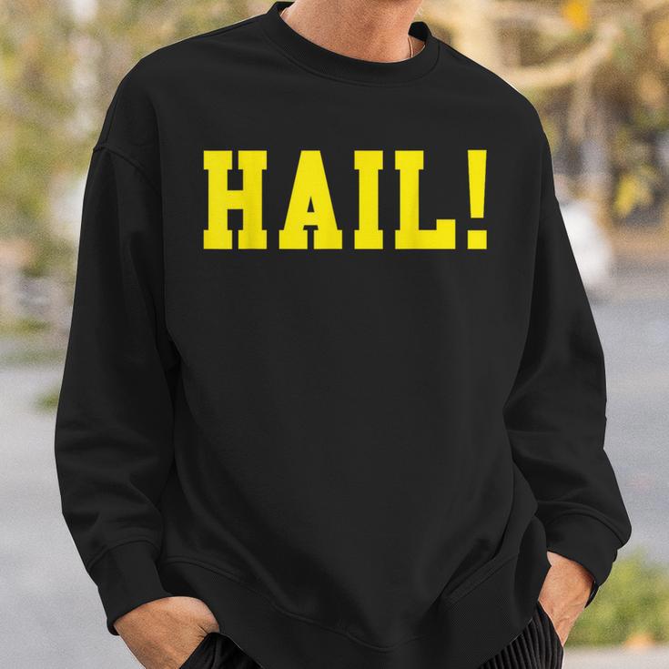 State Of Michigan Hail U M Ann Arbor Mi Aa Sweatshirt Gifts for Him