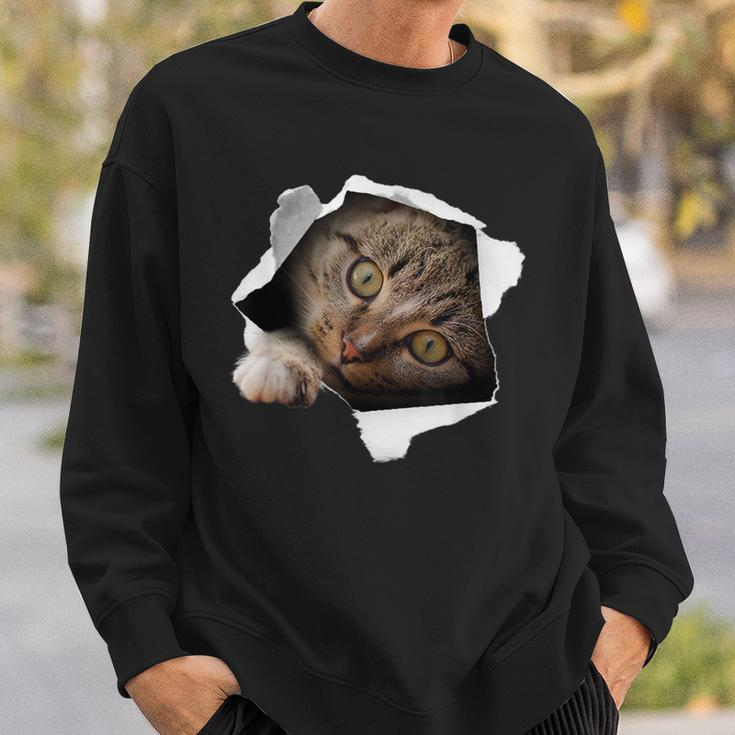 Stunning Tabby Cat Torn Cloth Cat Lovers Kitten Sweatshirt Gifts for Him