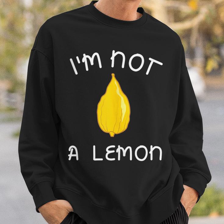 Sukkot Etrog I'm Not A Lemon Four Species Lulav Sukkah Sweatshirt Gifts for Him