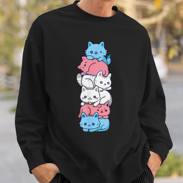 Transgender Pride Cat Lgbt Trans Flag Cute Cats Sweatshirt Geschenke für Ihn