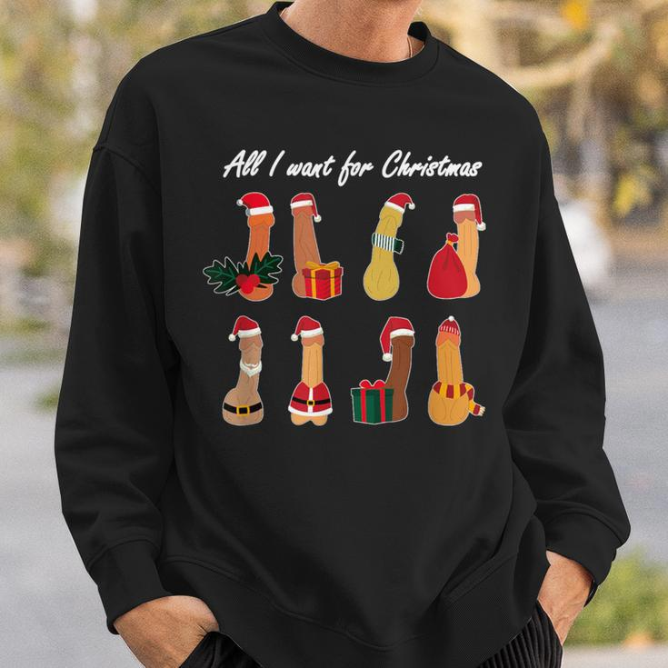 Ugly Christmas Dirty Christmas X-Mas Pride All I Want Sweatshirt Gifts for Him