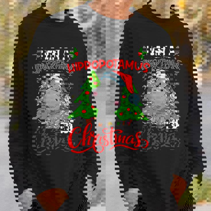 I Want A Hippopotamus For Christmas Hippo Santa Xmas Pajama Sweatshirt Gifts for Him