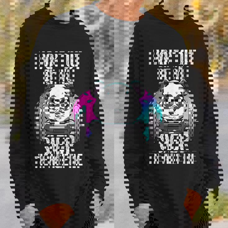 I Won't Quit But I'll Swear The Whole Time Gym Quote Sweatshirt Gifts for Him