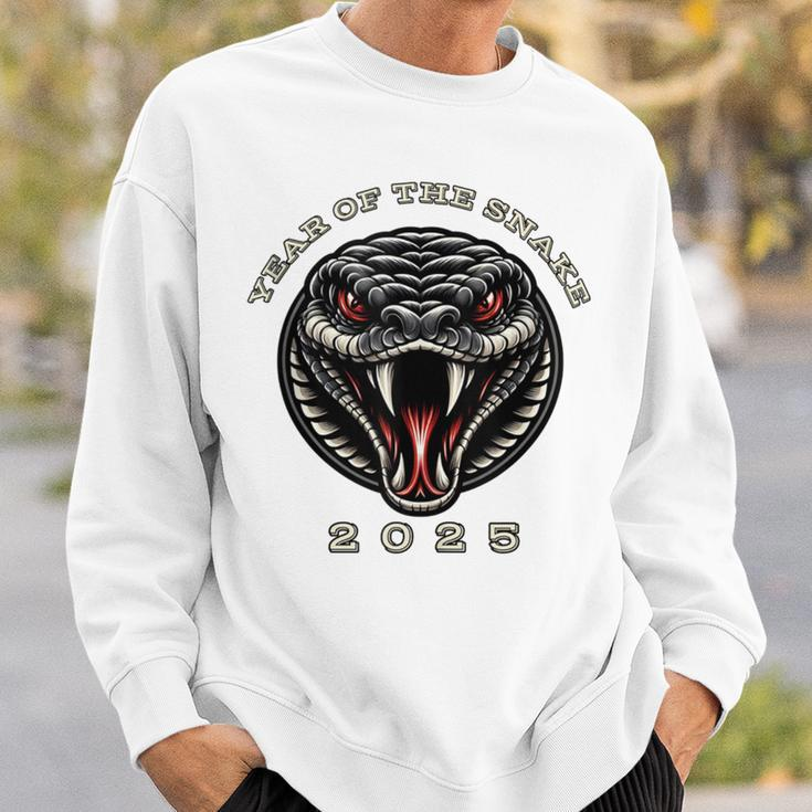 2025 Year Of The Snake Chinese New Year Zodiac Snake Sweatshirt Gifts for Him